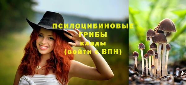 мефедрон Богданович