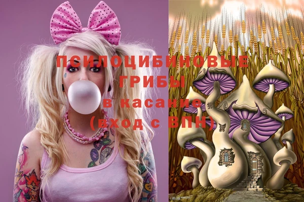 эйфоретик Покачи