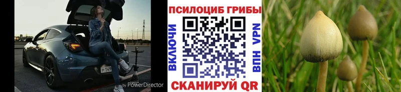 Галлюциногенные грибы Magic Shrooms  Купить закладки  Грязи 